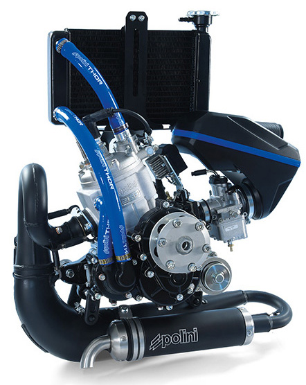 Polini Thor 260